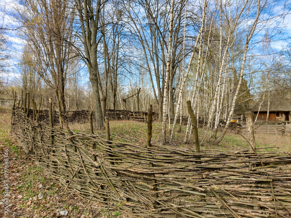 Wooden old fence. Early spring landscape.