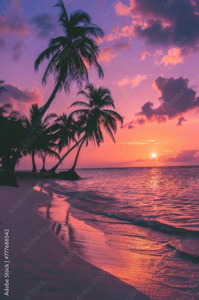 Sunset on a Tropical Beach With Palm Trees