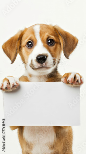 cute little puppy dog holding blank sign