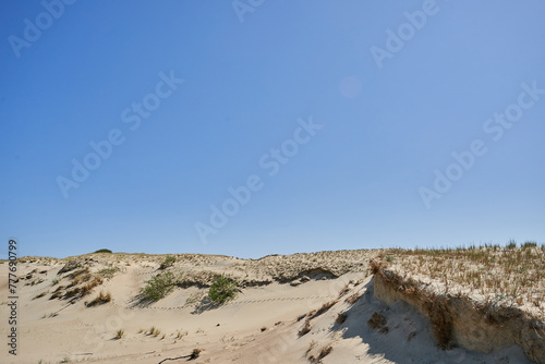 Fototapeta Naklejka Na Ścianę i Meble -  Lithuanian dunes sandy grass and clear sky