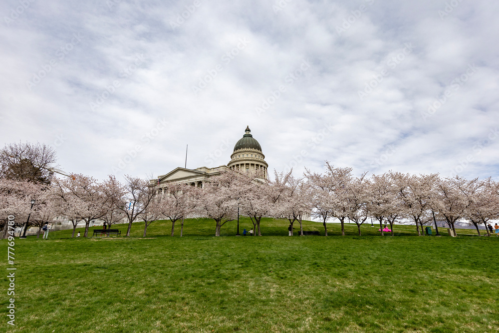Utah State Capital Building with Cherry Blossoms