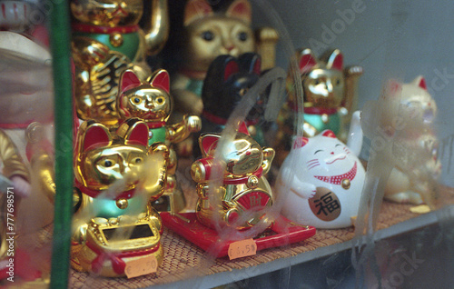 Maneki-neko Collection