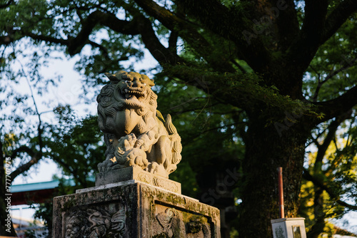 Stone Lion Guardian at Japanese Shrine photo