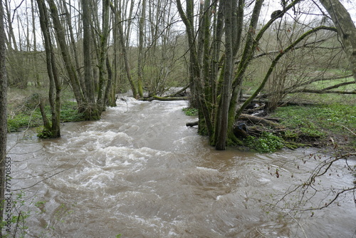 Φωτογραφία Flooded forest
