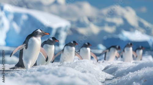 A group of penguins waddling along a snowy Antarctic landscape, the crisp white of the snow contrasting with the deep blues of the distant icebergs, a lively and charming portrayal of life in extreme  © Muzammil Elahi