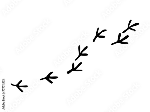 Pigeon paws. How does a pigeon walk? Animal paw prints, vector footprints. Black and white illustrations