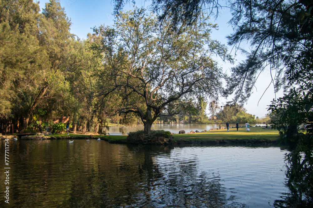 forest lake forest lake