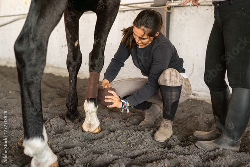 woman bandaging a horse's leg  photo
