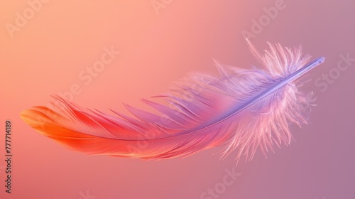 smooth gradient from peach to light lavender, emphasizing a minimalist feather falling.