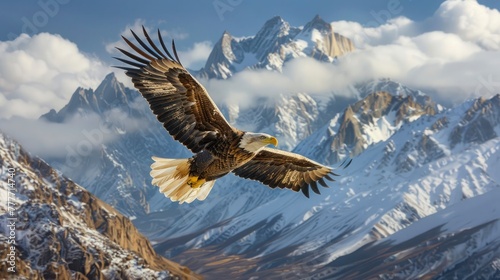A majestic eagle soaring above a rugged mountain range, its wings spread wide against the backdrop of snow-capped peaks and azure skies, embodying freedom and the grandeur of the natural world.