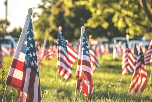 Group of American flags in field. Memorial Day, Independence Day, Veterans Day concept. Design for banner, poster