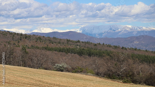 paysage de haute Provence photo