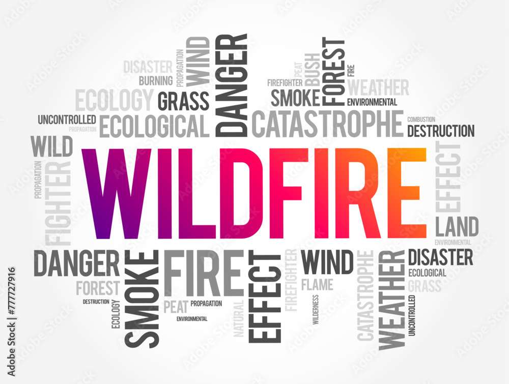 Wildfire is an unplanned fire that burns in a natural area such as a forest, word cloud concept background - obrazy, fototapety, plakaty 