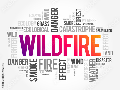 Wildfire is an unplanned fire that burns in a natural area such as a forest  word cloud concept background