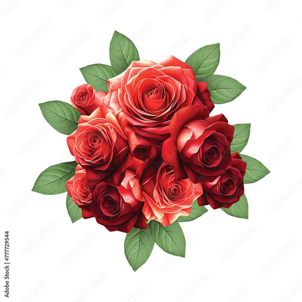 Floral red roses with a white background