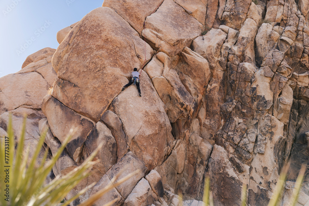 © Christine La/Stocksy - Rock climbing in Joshua Tree National Park, California © Christine La/Stocksy - Rock climbing in Joshua Tree National Park, California