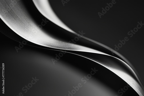 Detail of a sculptural metallic form emphasizing graceful curves and smooth lines, shot in high-contrast black and white.