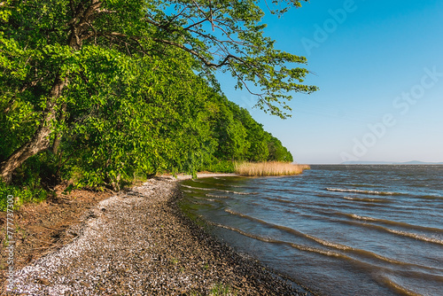 Fototapeta Naklejka Na Ścianę i Meble -  Seashore with a shallow bottom on a clear day. Summer sunny day on the seashore.