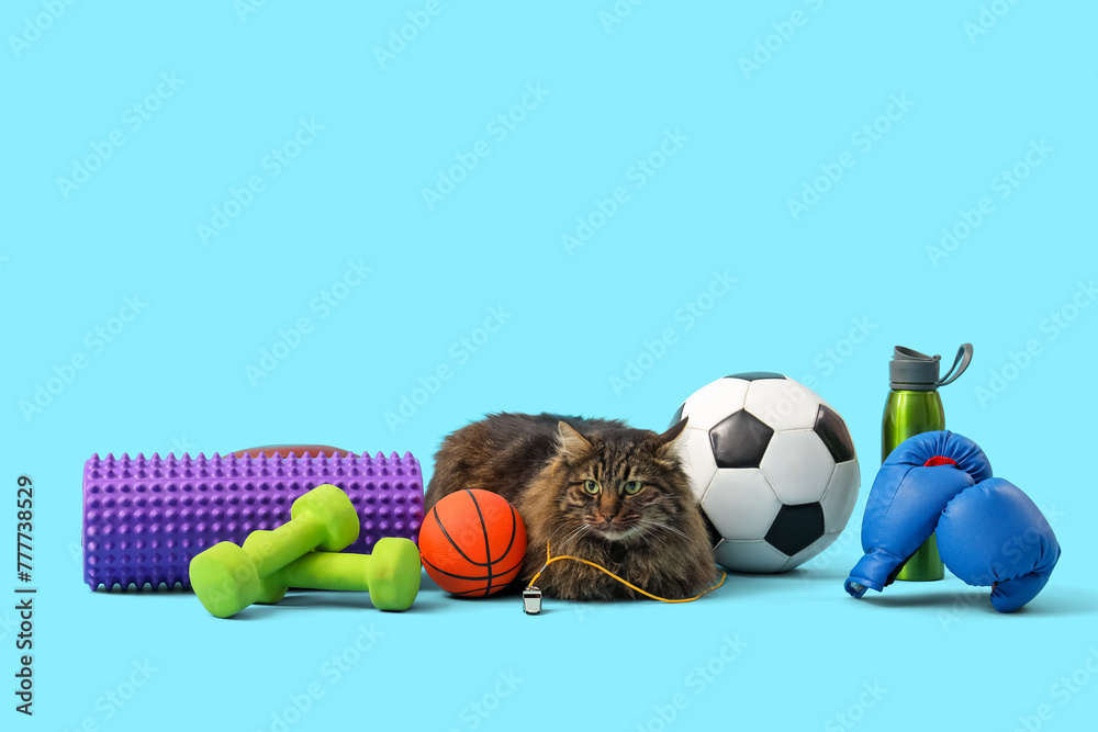 Cute cat with different sports equipment on color background - obrazy, fototapety, plakaty 