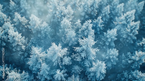 The intricate patterns of a frost-covered forest in the heart of winter. Trees adorned with ice crystals stand against a backdrop of soft, diffused sunlight, casting delicate shadows on the snow below