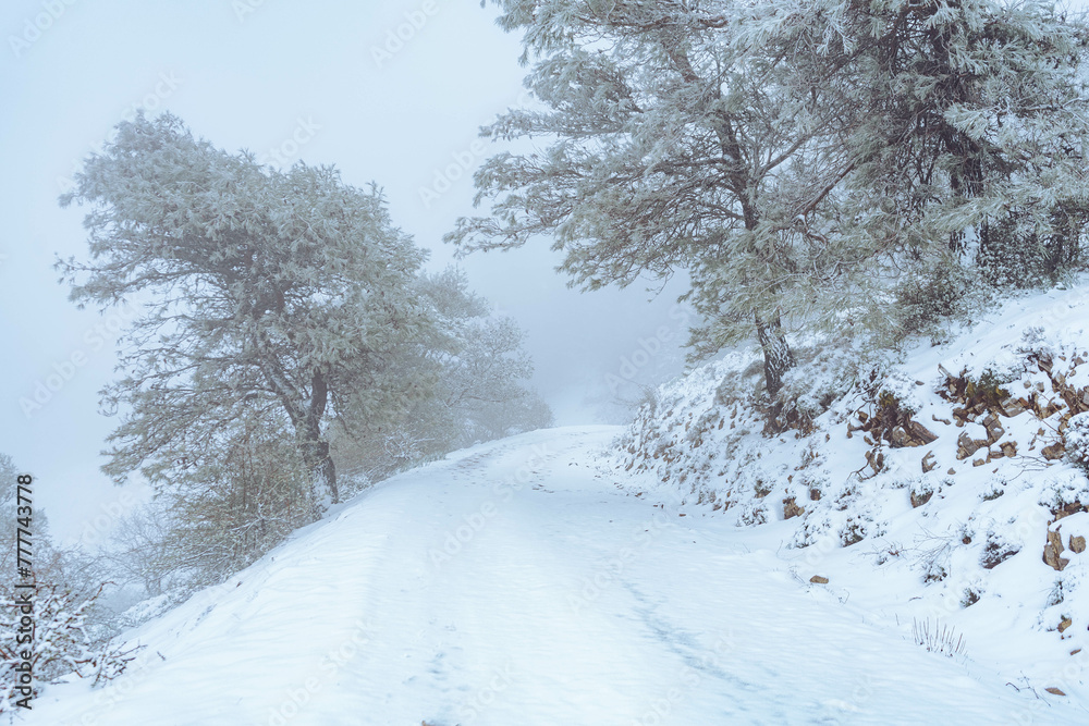 Nevada en la montaña solitaria de la sierra de Jaén Nevada en la montaña solitaria de la sierra de Jaén