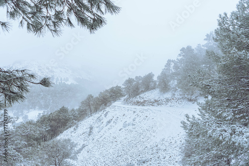 Nevada en la montaña solitaria de la sierra de Jaén