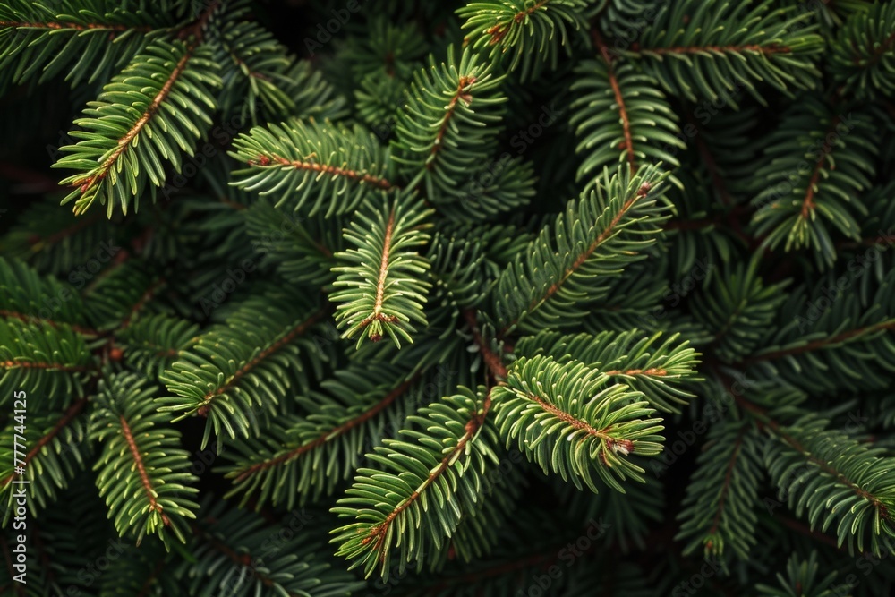 Green pine needles