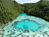 The scenic limestone islands of Penemu, fringed by reef, rise from Raja Ampat's tropical seascape. This part of Indonesia is known as the heart of the Coral Triangle due its high marine biodiversity.
