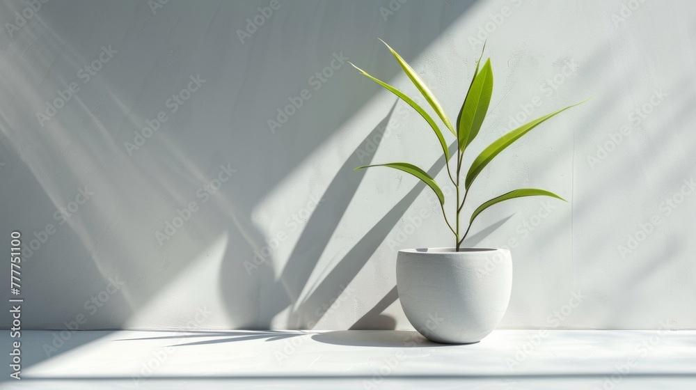 A white vase with a plant in it on the wall, AI A white vase with a plant in it on the wall, AI