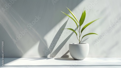 A white vase with a plant in it on the wall, AI