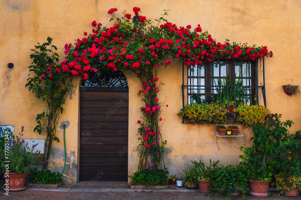 Beautiful doorway facade of the tuscanian houses Beautiful doorway facade of the tuscanian houses