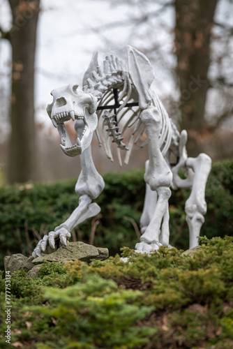 Skeleton figurine of a prehistoric bear.