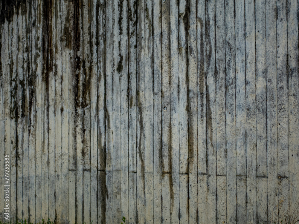 Fototapeta premium Feuchte Hauswand