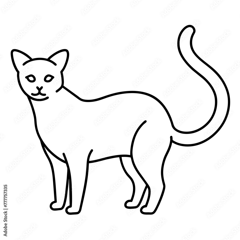 Fototapeta cat background vector illustration