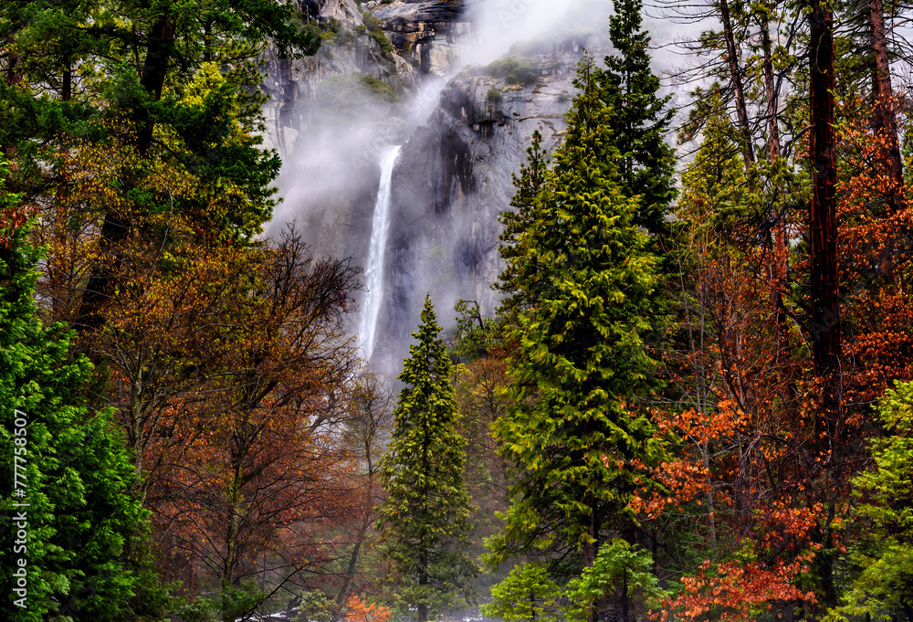 Fototapeta premium The lower cascade of the Yosemite falls in January with misty falls and some autumn colours 
