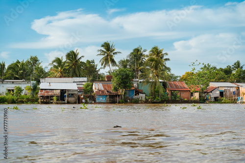 Houses and palm trees along the river photo