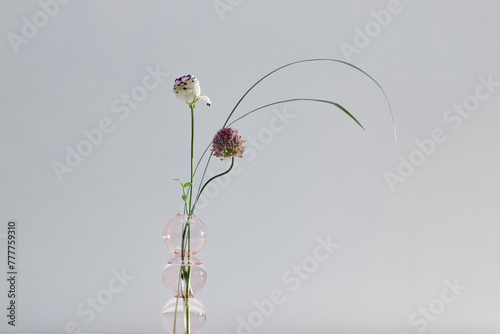 Glass vases with beautiful wildflowers on white background