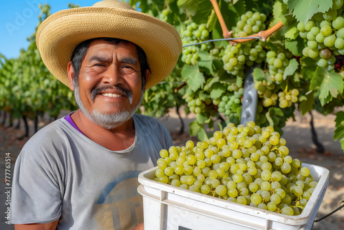 Portrait of a smiling grape picker at a winery photo