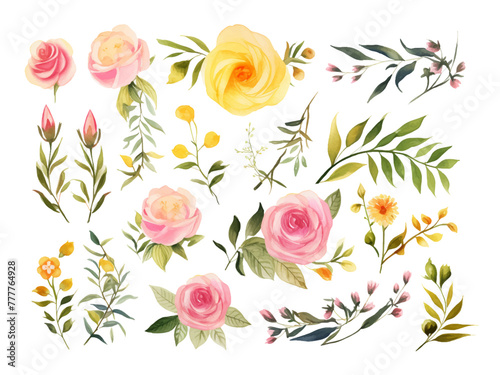 Set element of roses, green leaves, and branch watercolor style on isolated white background