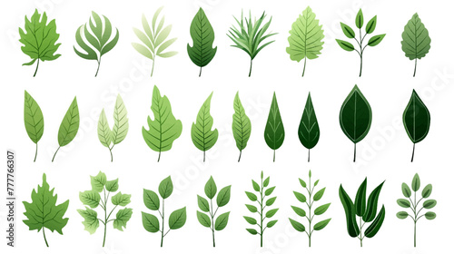 Big set natural of Tropical green leaves of leaf isolated on white background, varies different of plant botanical vector illustration.