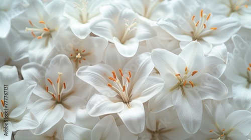 Easter Lily Bouquet: Spring Floral Background with Space for Text © hisilly
