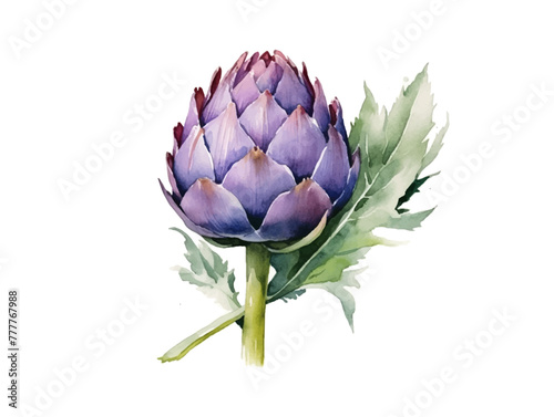 Fresh Organic Artichoke Vegetable Background, Square Watercolor Illustration. Healthy Vegetarian Diet. Soft Colored Watercolor Illustration with Delicious Juicy Artichoke Vegetable.