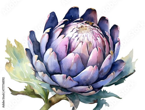 Fresh Organic Artichoke Vegetable Background, Square Watercolor Illustration. Healthy Vegetarian Diet. Soft Colored Watercolor Illustration with Delicious Juicy Artichoke Vegetable.