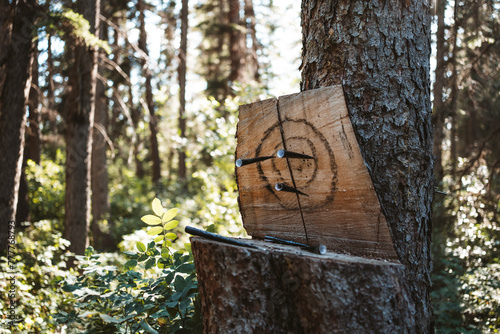 tree trunk target photo