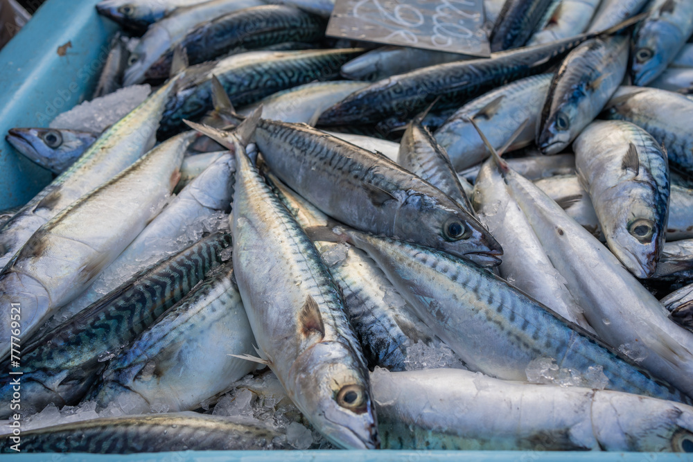 Pile Of Fresh Fish In The Street Market In The Port. Pile Of Fresh Fish In The Street Market In The Port.