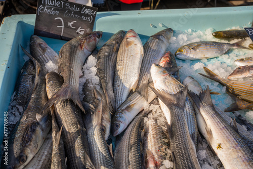 Pile Of Fresh Fish In The Street Market In The Port. photo