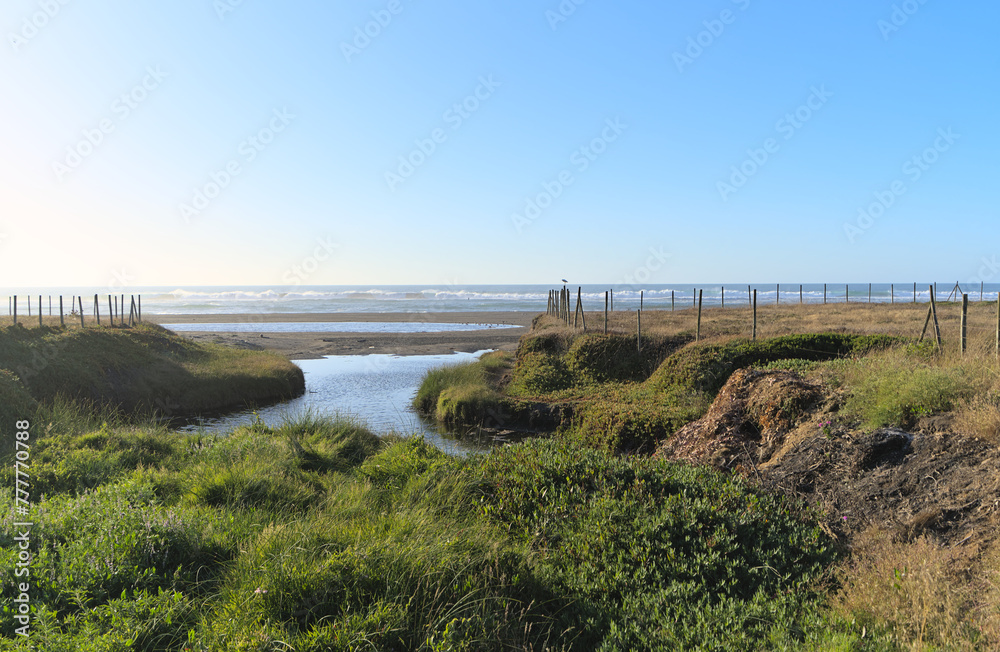 Swamp and river near sand beach during windy summer day on pacific ocean (Iloca, Chile)