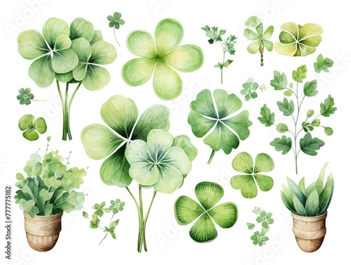 Set of watercolor clover isolated on white background. Clover flowers St Patrick's Day background. Spring flower pattern