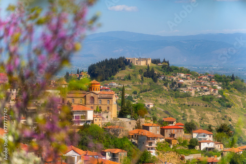 Spring scenery in the area of Canal and Fanari in Greece, consisting of pink flowers, buildings and the ancient castle. photo