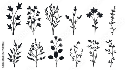 This elegant collection of hand-drawn botanical elements includes various types of leaves  flowers and plants in detailed